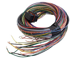 link ecu A Loom 2.5m long