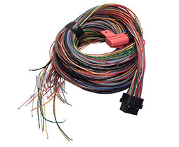 link ecu A Loom 5m long