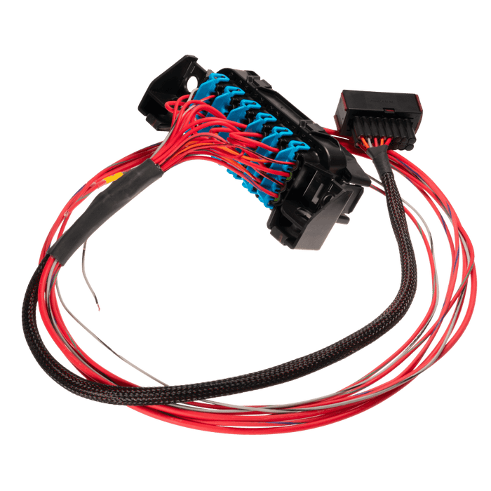 LS Harness - Fuse and Relay Box